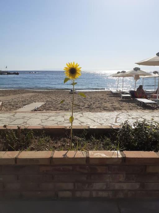 Stoupa Beachside Retro Apartment Buitenkant foto